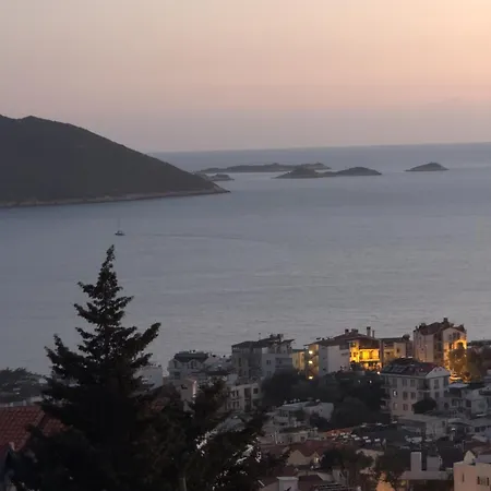 Apex Apart Appartement