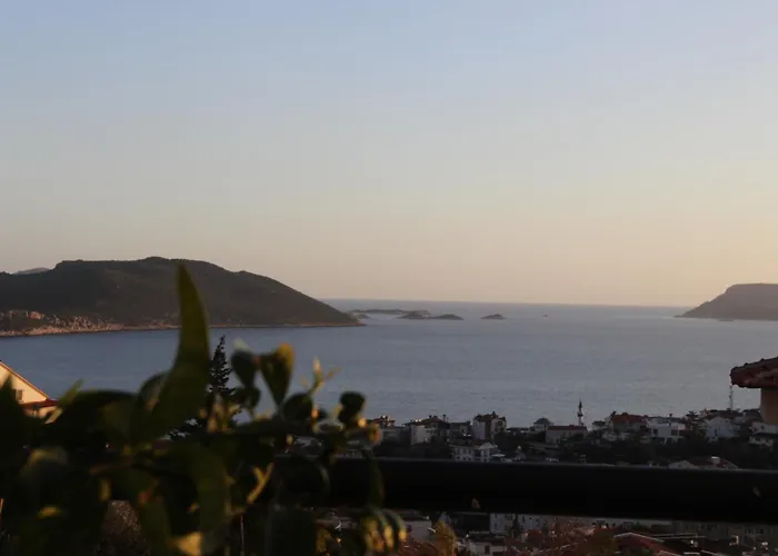 Apex Apart Apartment *